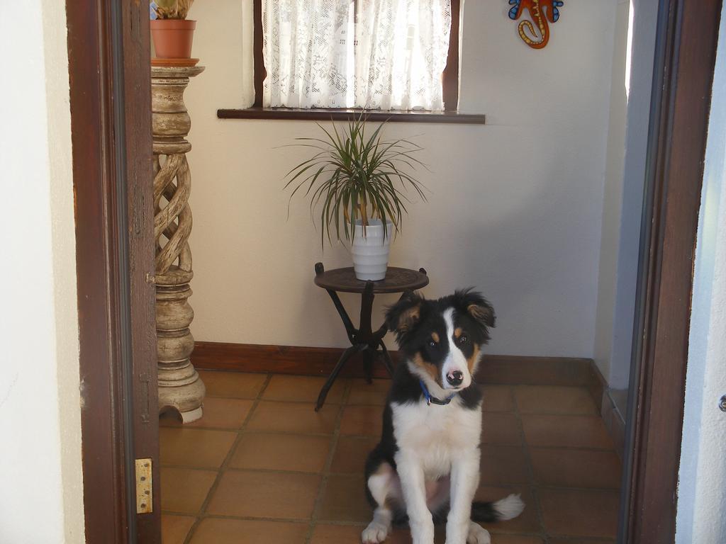 Doolin Cottage Accommodation Extérieur photo